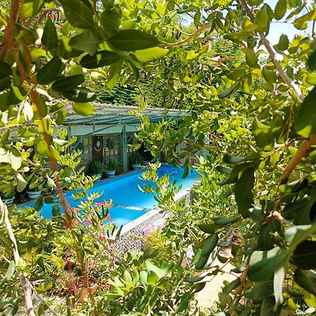 Silk Island Homestay Phnom Penh Eksteriør billede