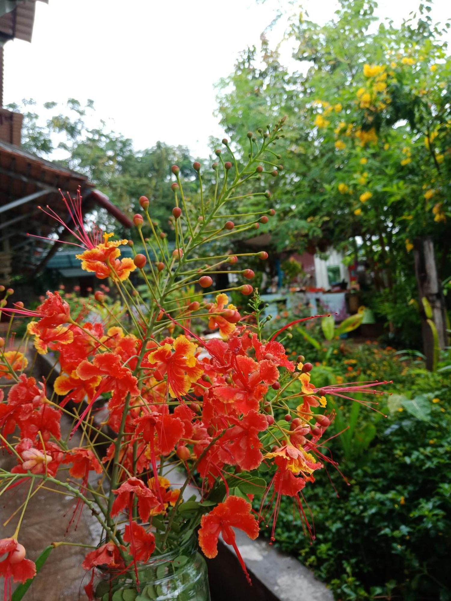 Silk Island Homestay Phnom Penh Eksteriør billede